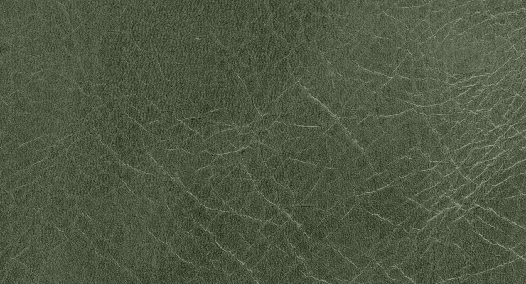 Tribe leather