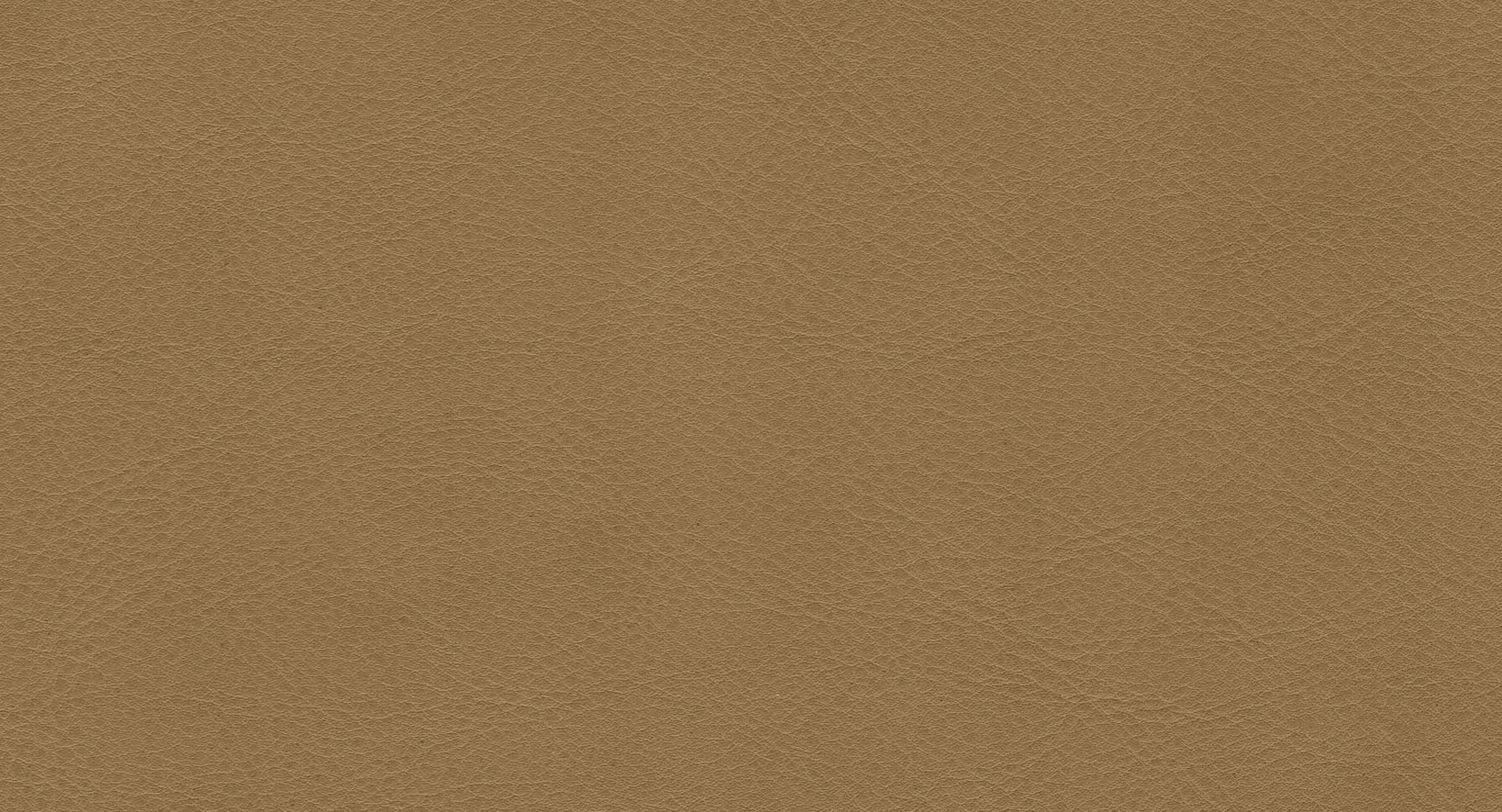 Aniline