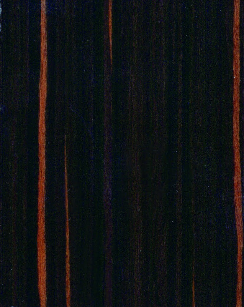 Glossy Ebony